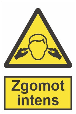 Zgomot intens SPMAP-78